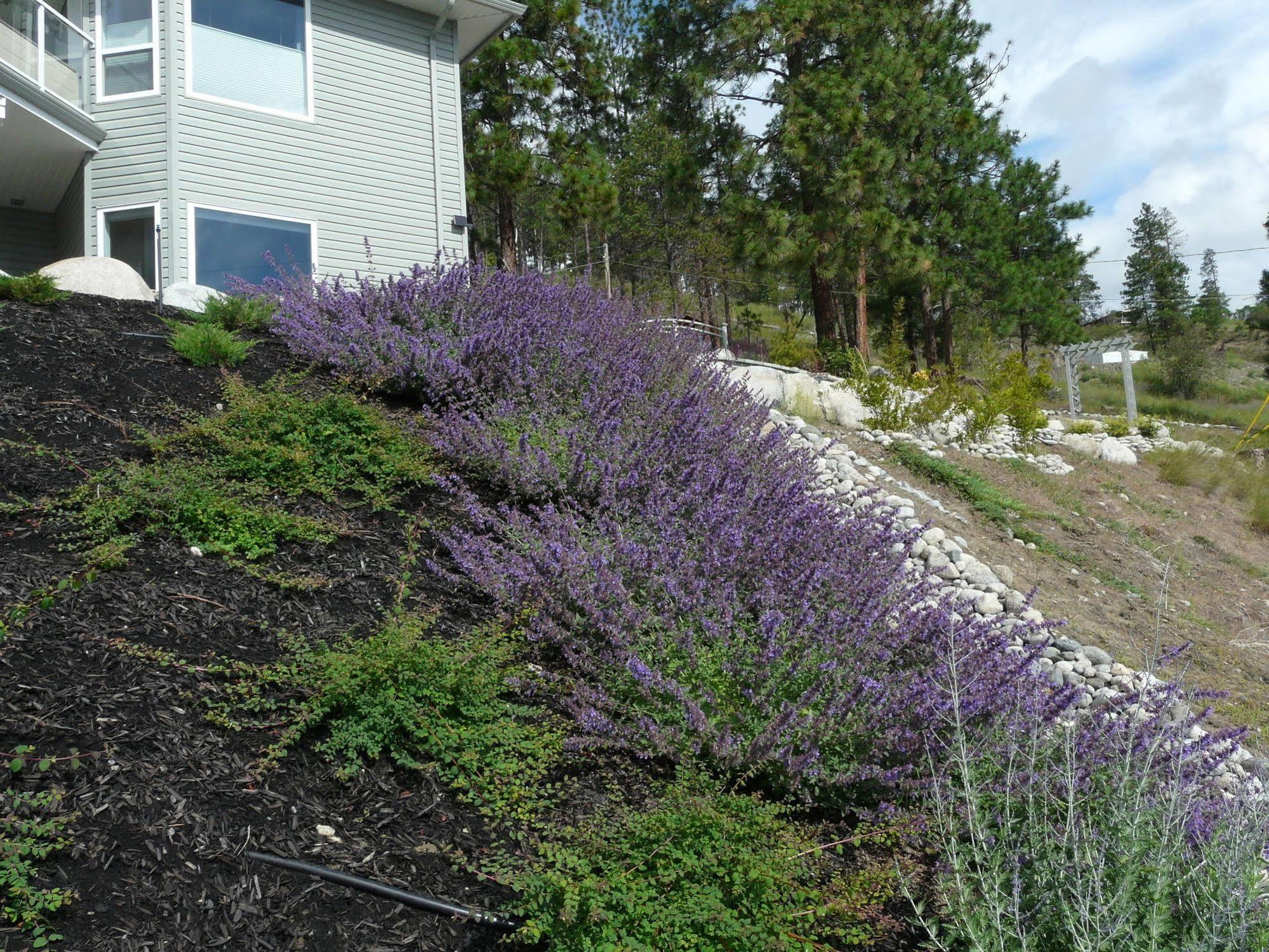 Heartstone B&B Peachland Exterior photo
